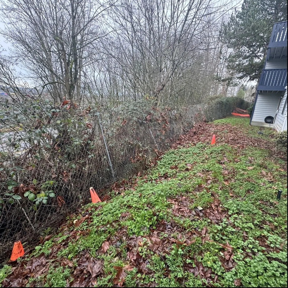 Copper Ridge Civil Site Work: before